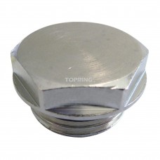 Brass Pipe Plug, 1/2 in thread